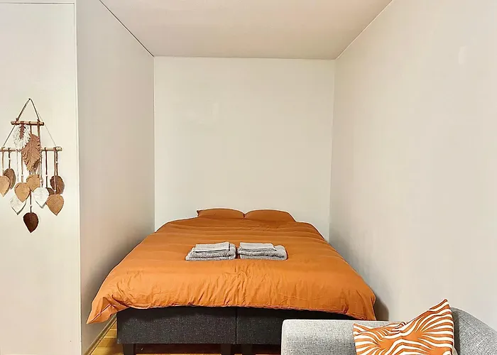 Puma's Flat In * 헬싱키